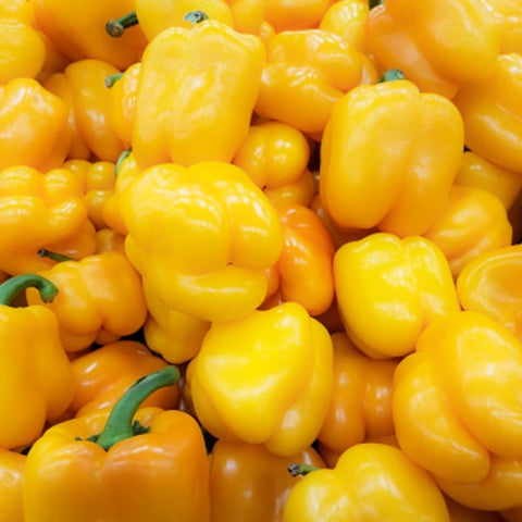 Bell Pepper • Yellow (1 Piece)