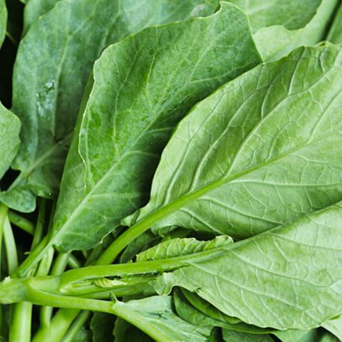 Chinese Kale • ~300g