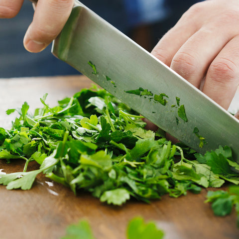 Organic Coriander or Cilantro • 100g