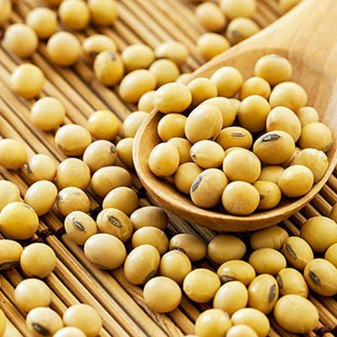 Soy Based Protein • 100g