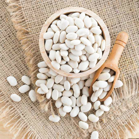 White Bean • 100g