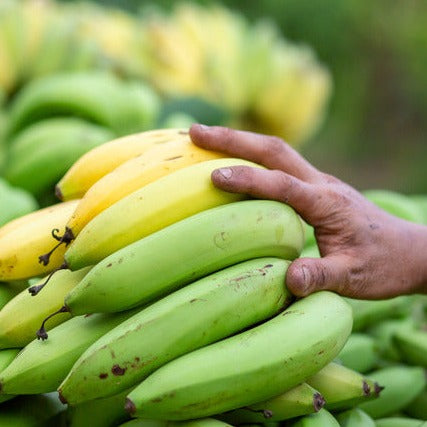 Banana • 1 Bunch