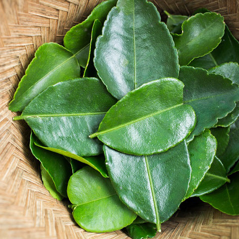 Kaffir Lime Leaves • 50g