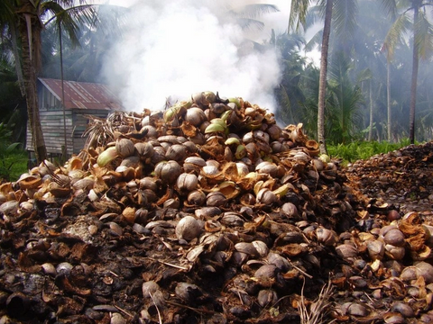Coco Loop: Circular Materials from Coconut Husk