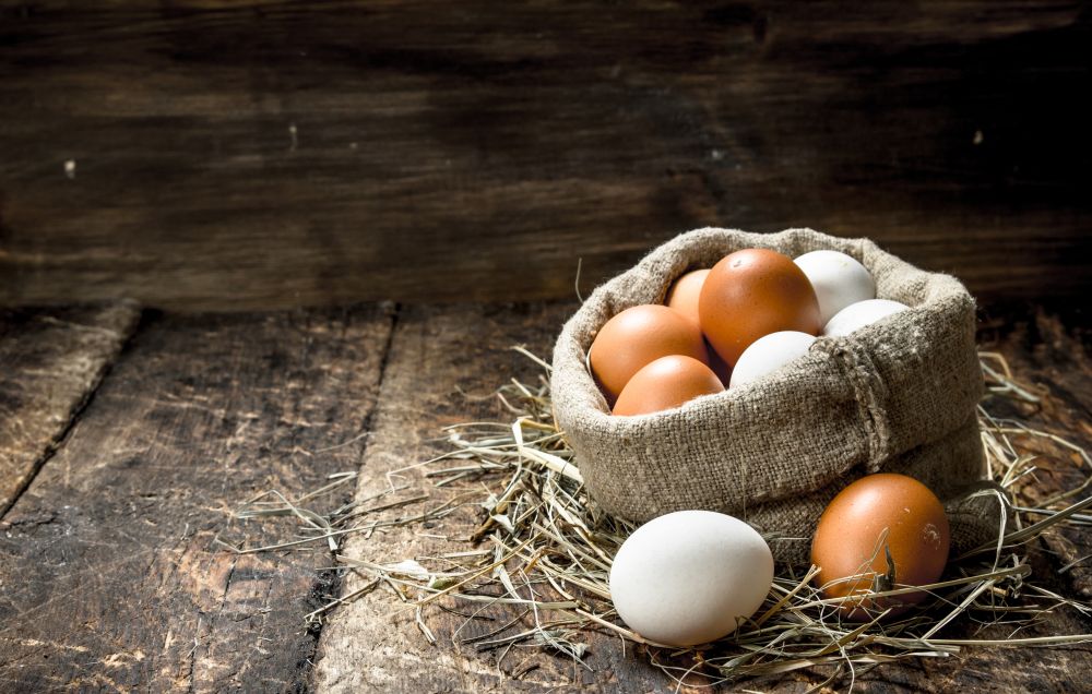 Understanding Conventional Eggs vs Pasture-Raised Eggs – Happy Grocers  Thailand
