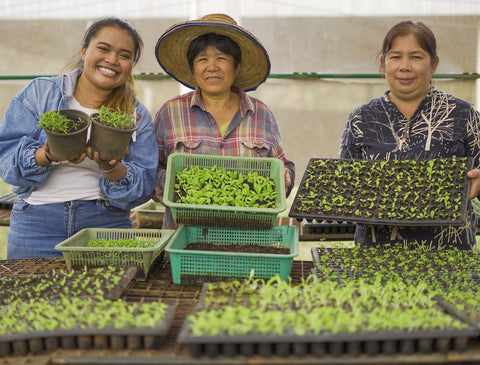 Uraiwan Organic Farm and Happy Grocers Founder Women Holds Vegetable
