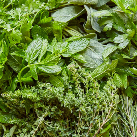 Mint basil celery thyme