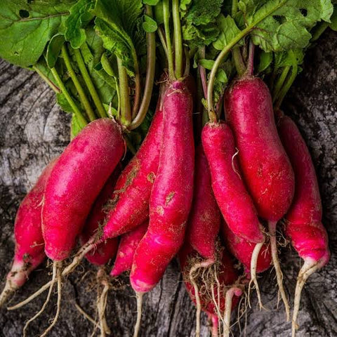 Red Radish • 200g