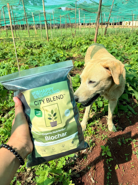 City Blend™ Biochar ไบโอชาร์ | สารปรับปรุงดินออร์แกนิก 1 kg