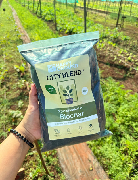 City Blend™ Biochar ไบโอชาร์ | สารปรับปรุงดินออร์แกนิก 1 kg