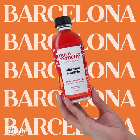 Kombucha: Hibiscus Sangria • 260ml