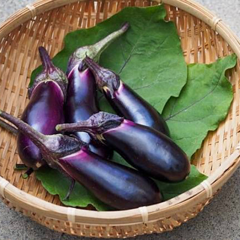 มะเขือม่วงออร์แกนิค / มะเขือม่วง • 1 ชิ้น (~150g)