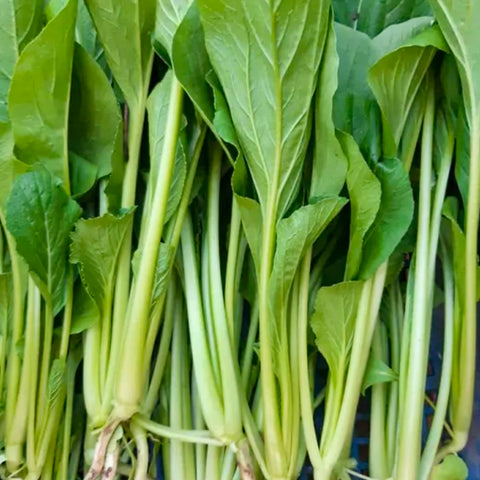 กวางตุ้ง • 200g