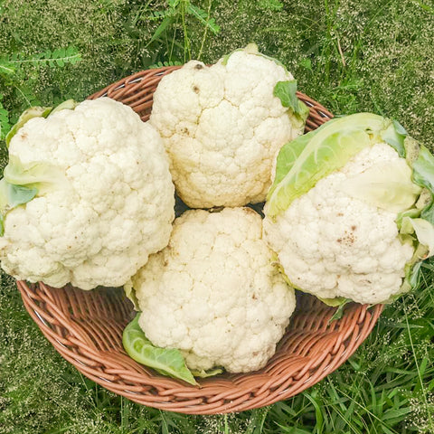 Surplus Cauliflower • 1 Piece