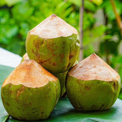 オーガニックココナッツ • 2個パック