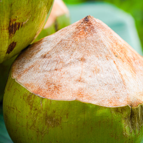 オーガニックココナッツ • 2個パック