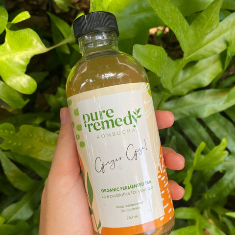 Kombucha: Ginger | Ginger Gize • 260ml