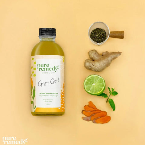 Kombucha: Ginger | Ginger Gize • 260ml
