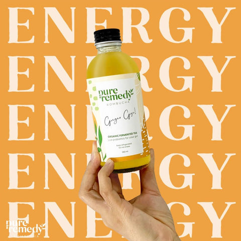 Kombucha: Ginger | Ginger Gize • 260ml