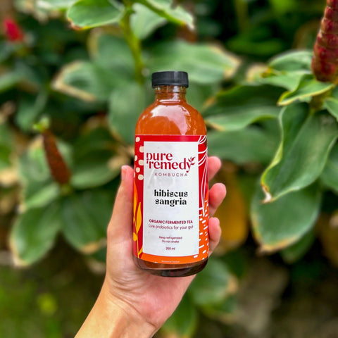Kombucha: Hibiscus Sangria • 260ml