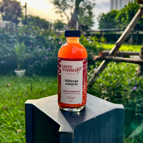 Kombucha: Hibiscus Sangria • 260ml