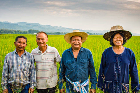 Organic Low Glucose Rice(RD43) • 2kg