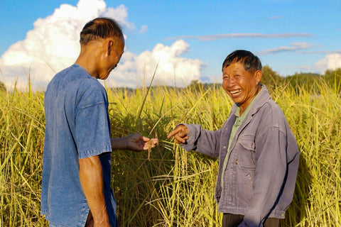 Organic Low Glucose Rice(RD43) • 2kg