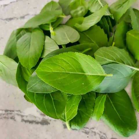 กะเพราออร์แกนิค (กะเพรา) • 100g