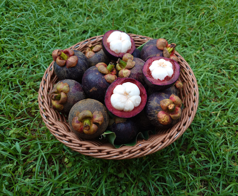 Mangosteen • 500g
