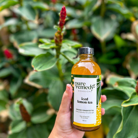 Kombucha: Iced Lemon Tea • 260ml