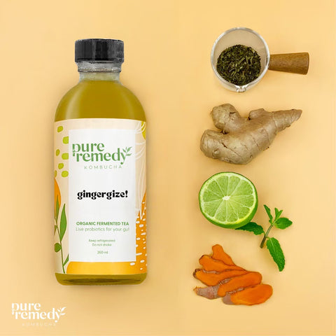 Organic Kombucha: Ginger | Ginger Gize • 260ml