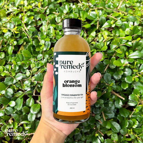 Organic Kombucha: Orange Blossom • 260ml