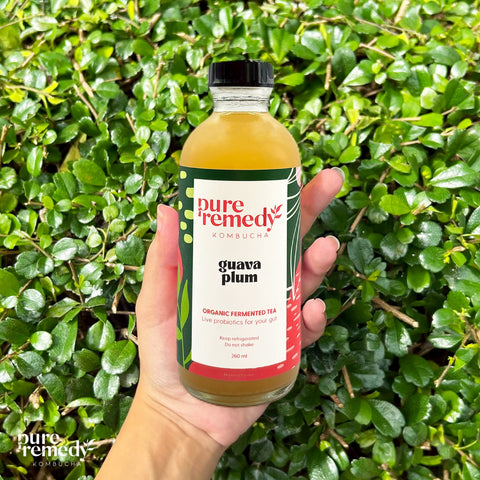Organic Kombucha: Guava Plum • 260ml