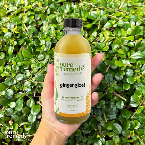 Organic Kombucha: Ginger | Ginger Gize • 260ml
