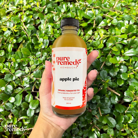 Organic Kombucha: Apple Pie• 260ml