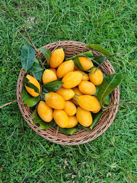 Ma Yong Chit / Marian Plum• 500g