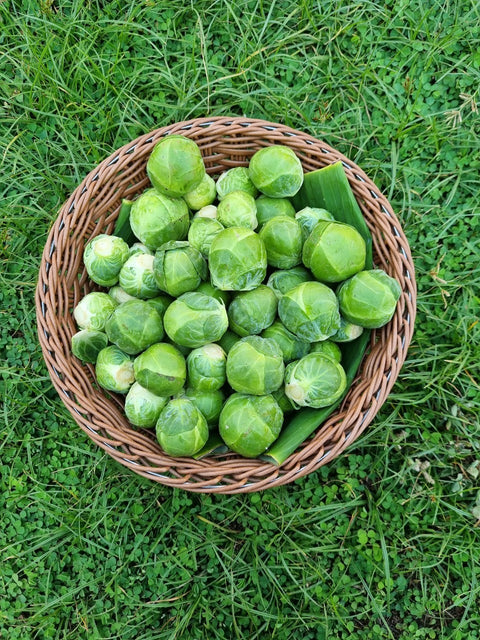 Brussel Sprout • 100g