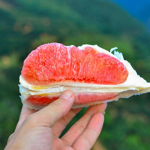Pomelo Pink • 1 Piece (~1.2kg)