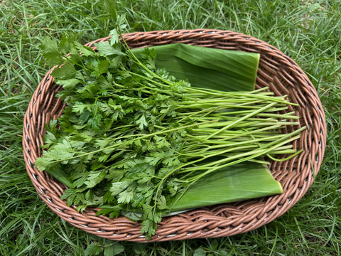 Flat Leaves Parsley 50g.