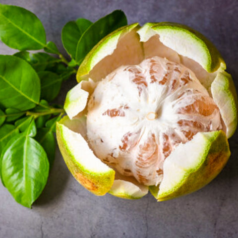 Pomelo Pink • 1 Piece (~1.2kg)