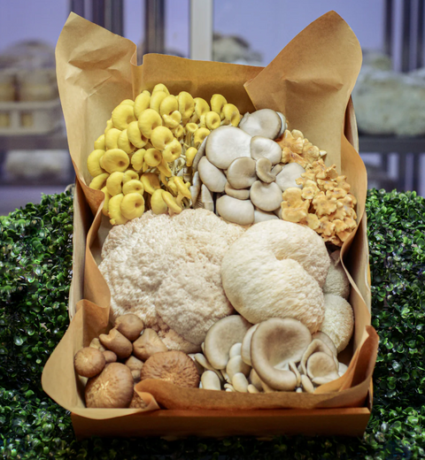 Grower’s Choice Mix Mushroom • 400g