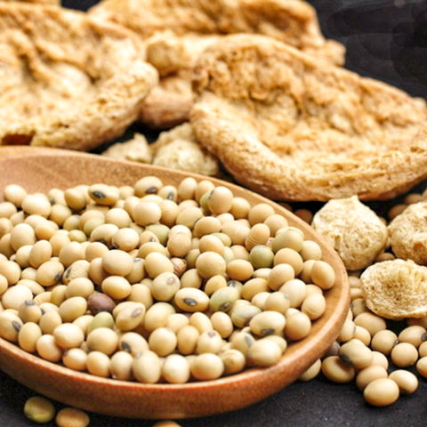 Soy_Protein