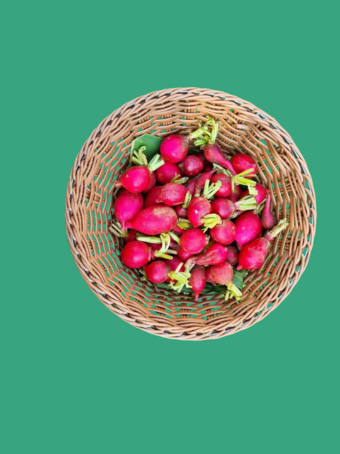 Red Radish • 200g
