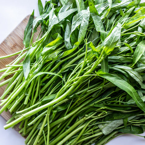 Organic Morning Glory • 200g