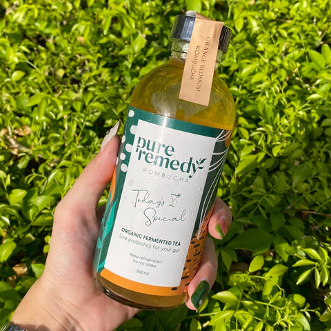 Kombucha: Orange Blossom • 260ml
