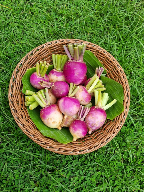 Organic Turnip • 200g